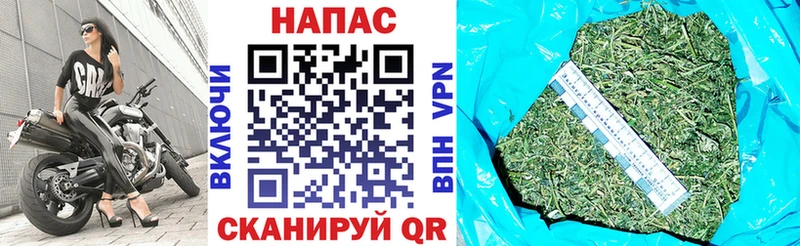 блэк спрут маркетплейс  Данков  Марихуана SATIVA & INDICA  купить наркотики сайты 